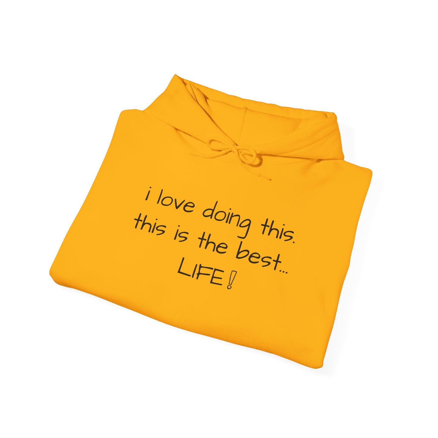 Jayden's "This is the Best... LIFE!" Viral Adoption Story Hoodie | Family Love